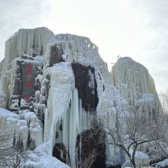 金秋鱼餐馆 User Photo
