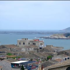 Qilinshuju User Photo