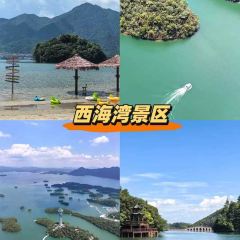嘉豪淮海国际豪生酒店·浔阳中餐厅 User Photo