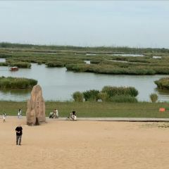 沙湖不夜城 User Photo