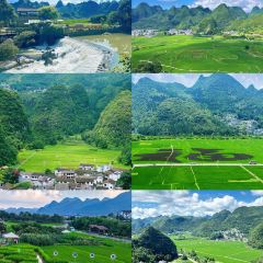 盛知味·黔水渔庄 User Photo