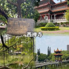 Jiazhou·dafengshouyuzhuang (jiazhoucheng) User Photo