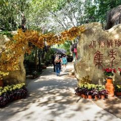 穆彦华逍遥镇胡辣汤(岗坡路店) User Photo