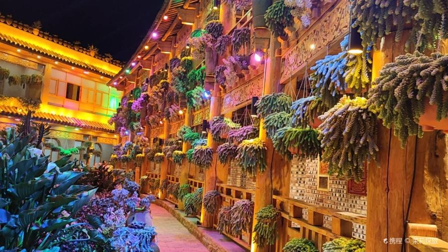 912·张宜庄园(3号店)