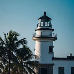 搭好鸡煲·生腌(十一合潮汕老厝店) User Photo