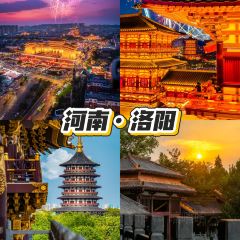 FEI LUO ZHUANG User Photo