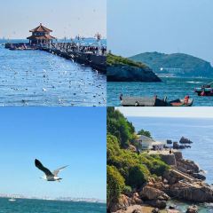 LIN JIA XIAO ZAO User Photo