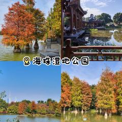 A bao bao zai Rice (huangqi) User Photo