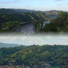 张小花奶茶铺(体育馆店) User Photo