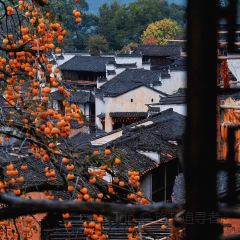 YEXIWANGSHAGUO User Photo