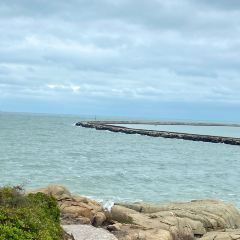 DE YI DAPAIDANG User Photo