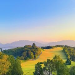 Ningdao Chinese Restaurant User Photo