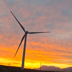 艾沙江达吾提烤包子(新友好美食街店) User Photo