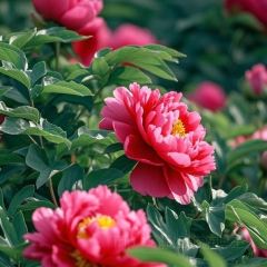 颍阳水席(登封店) User Photo