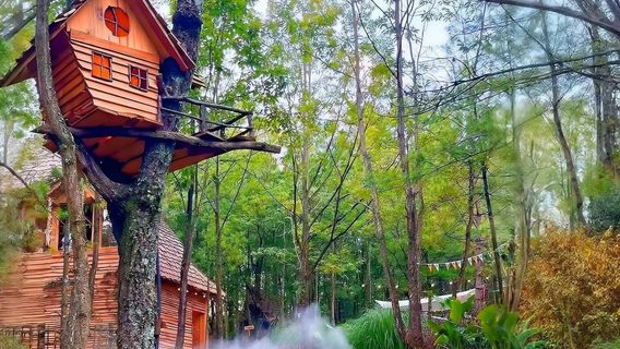 hu he da xi gu ying di