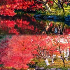 外婆的味道私房餐厅 User Photo