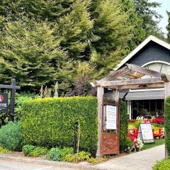 Bacchus Restaurant & Lounge User Photo