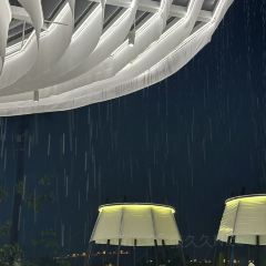 望天树雨林餐厅 User Photo