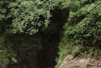 江东饺子馆(江东路店) User Photo