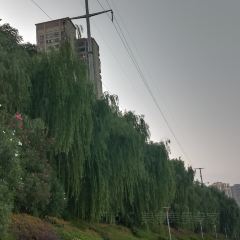 梁记粥铺(红安店) User Photo
