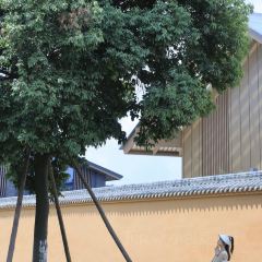 Twenty-one 贰壹咖啡 User Photo