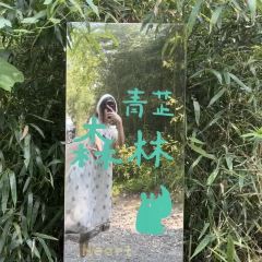 青芷森林·咖啡店 User Photo
