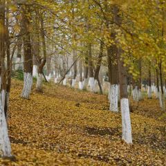 宝马生态农庄·柴火鸡(宝马店) User Photo