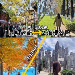 宜良烤鸭 User Photo