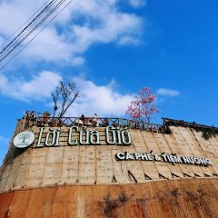 Still cafe User Photo