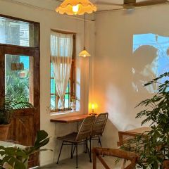 樹Cafe張用戶圖片