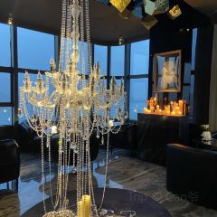 Dico Duck User Photo