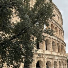 Costanza Hostaria User Photo