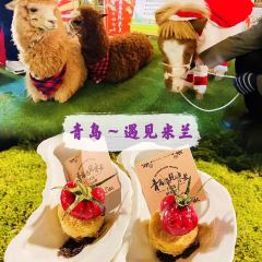 青島遇見米蘭(八大關店)張用戶圖片