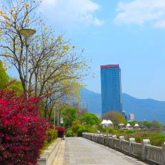 梅园国际大酒店·中餐厅 User Photo