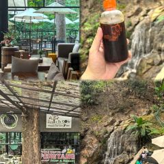 Jungle De Cafe User Photo