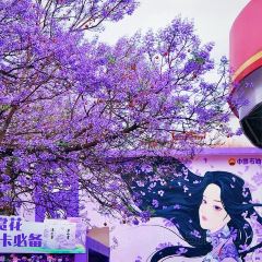胡四哥特色烧烤(一分店) User Photo