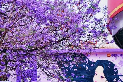 胡四哥特色烧烤(一分店)