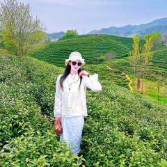 WEN XIN CHA ZHUANG YUAN User Photo