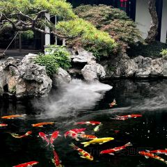 PINGJIANGSONG SUZHOU CUISINE IN GARDENS User Photo