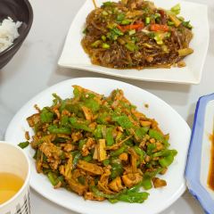 ZHI HUA FAN DIAN User Photo