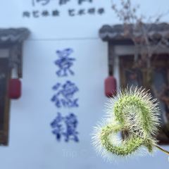 YAO HE SHAN LI CAI User Photo