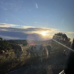 牧野山涧酒店·餐厅 User Photo