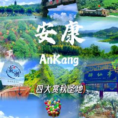 流水古镇望江鱼庄 User Photo