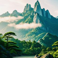 LUFUJIULOU User Photo