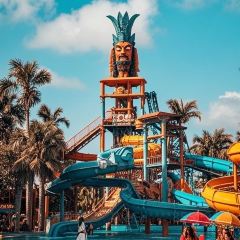 79号渔船海鲜饭店(岗厦店) User Photo