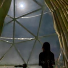 赛里木湖潮克星空营地·星空餐厅 User Photo