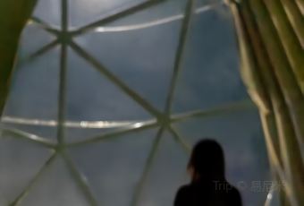 赛里木湖潮克星空营地·星空餐厅 User Photo