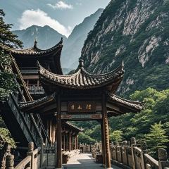 大刀面(升龙广场店) User Photo