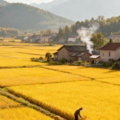 WAN XI REN GU TU CAI GUAN 여행 사진