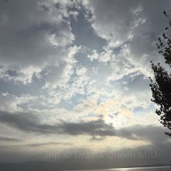 西波魚莊張用戶圖片